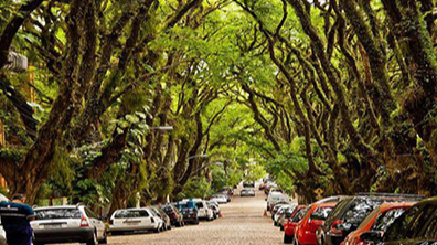 景觀設（shè）計中配置樹木的（de）方法