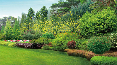 生態園林（lín）景觀的作（zuò）用（yòng）及植物配置原則