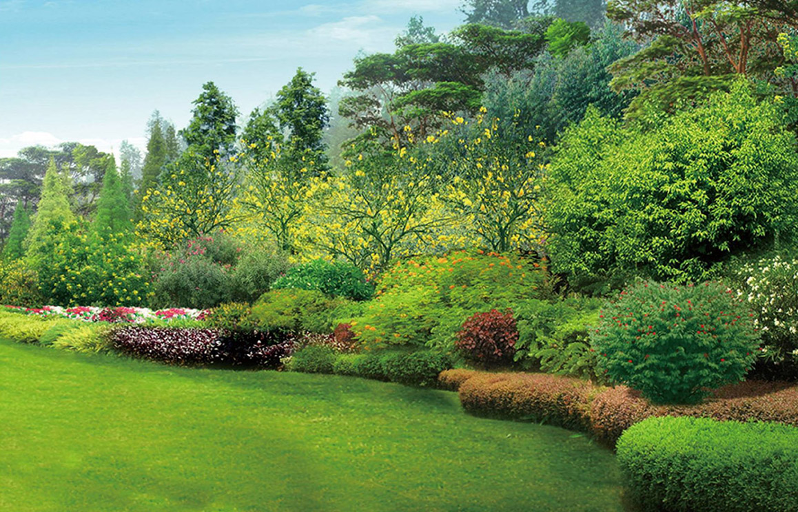 生態園林景觀圖片