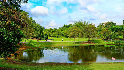 生態園林設計（jì）中的植物配置經（jīng）驗總（zǒng）結