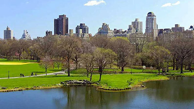 城鎮濱水綠地園林設計應遵循的原則