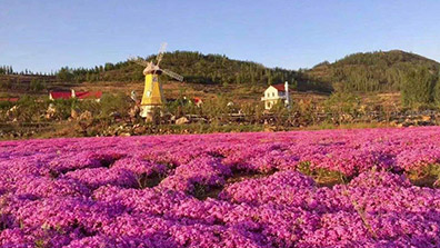 “特色小鎮”和“田園綜合體”之間有關係（xì）嗎？有融合發展的可能嗎？