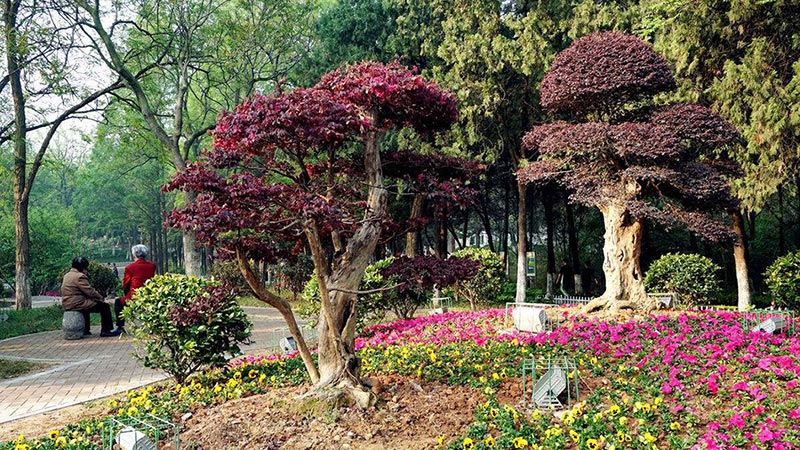 如何利（lì）用植物構成園林景（jǐng）觀（guān）規劃設計的空間