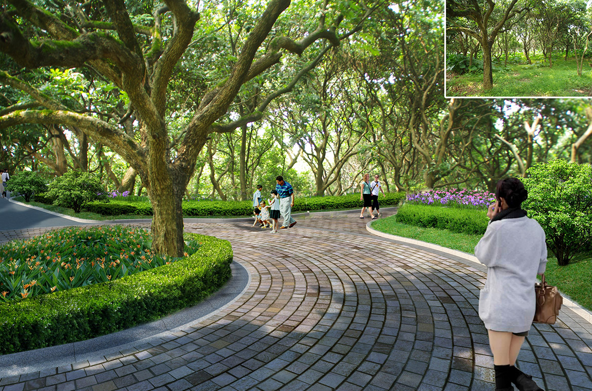 大嶺山鎮新塘村美麗幸福村居建設行動計劃（huá）圖9