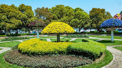 風景園林設計（jì）中植物配置規劃3原則