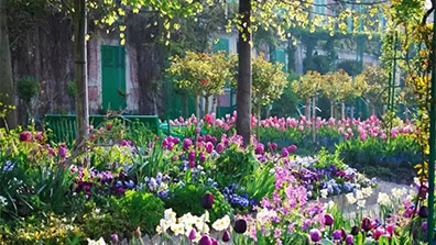 植（zhí）物景觀設計的過（guò）程中如何運用好園藝療（liáo）法