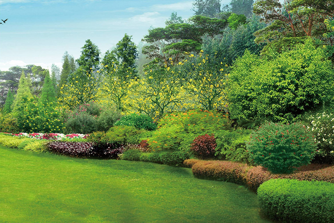 景觀設計圖片（piàn）