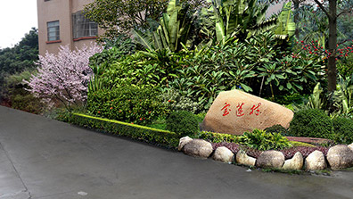 美麗鄉村景觀規劃設計案例