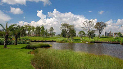 城市園林設（shè）計中應用海綿城市理念所要遵循的原則（zé）