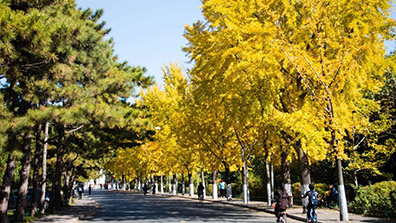 學校園林景觀設（shè）計需要和地域文化特色相融合
