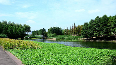 提升濕地公園建（jiàn）設中（zhōng）景觀設計質量的有效措施