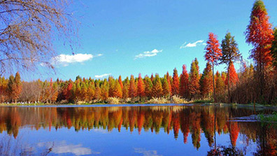 濕地公園（yuán）建設（shè）中景觀設計應當遵循（xún）的原則