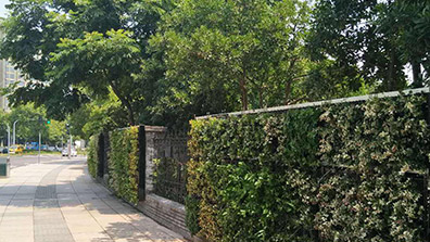 “拆（chāi）牆透綠”園林景觀設計怎麽設計圍（wéi）牆