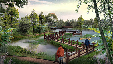 濕地公園景觀設（shè）計要素