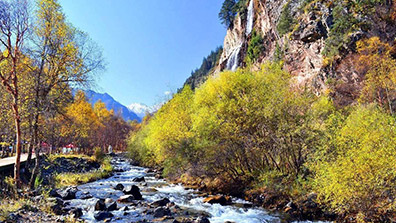 森林公園規劃設計要引起重視的幾點