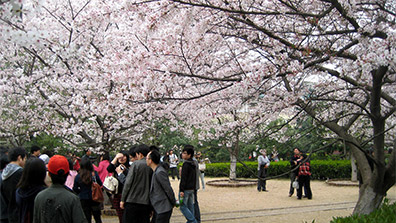 大（dà）學校園（yuán）景觀規劃設計的價（jià）值