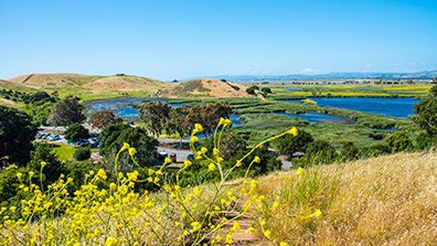城市濕地（dì）公園建設要（yào）點總結