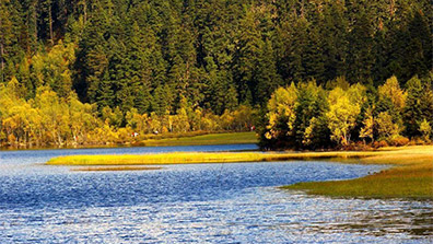 淺談濕地公園（yuán）規劃設計中文（wén）化設計理念的應用