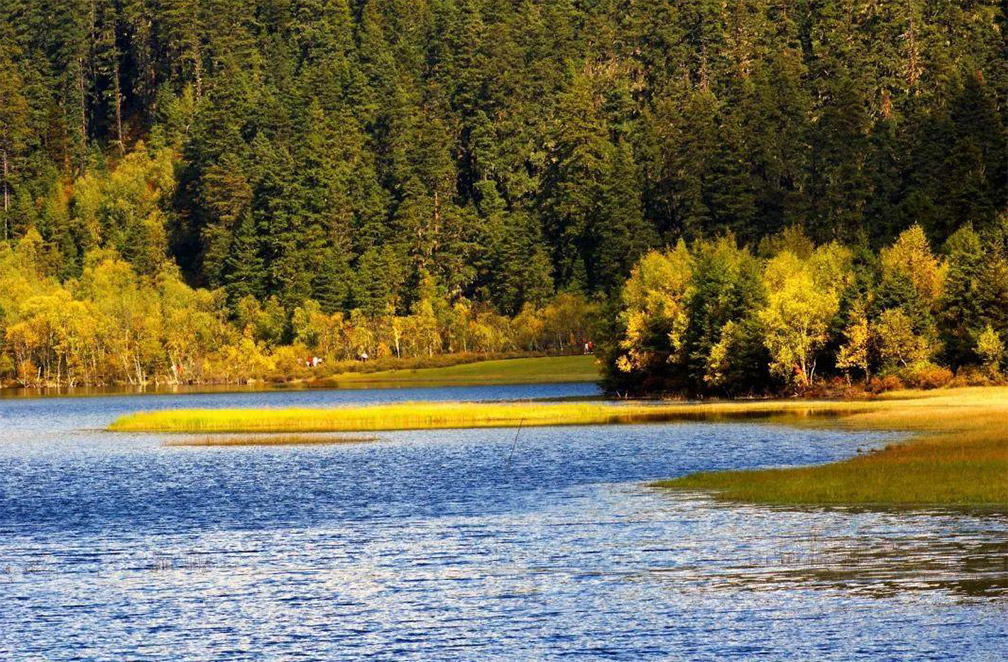 濕地公園規劃設計圖片