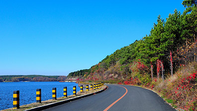 生態美（měi）學觀在森林公園景觀設計中的應用價值