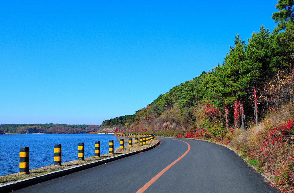 森林（lín）公園景觀設計圖片
