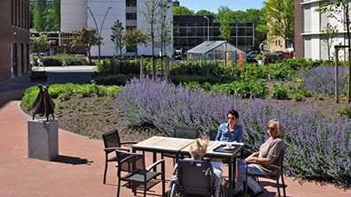 舊居住區適老化景觀（guān）設計要以“老年人”為本