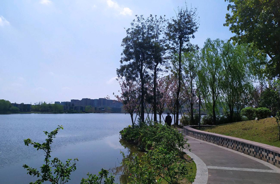 濕地景觀設計（jì）圖片