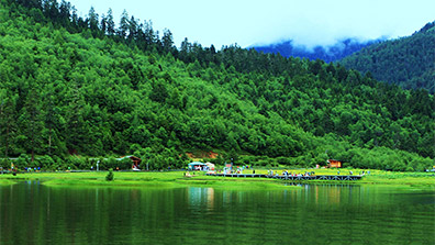 基於生（shēng）態美（měi）學觀的森林公園景觀設計思路