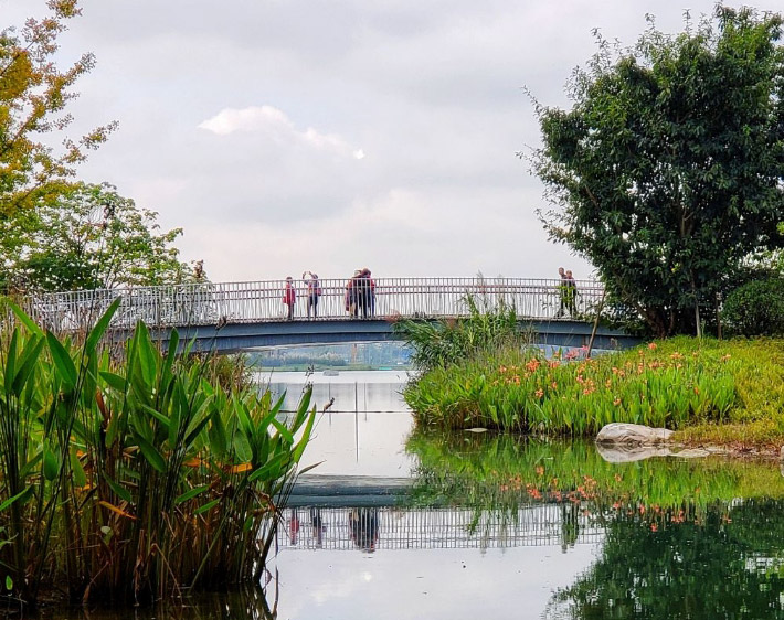 宜（yí）居水鄉的示範村