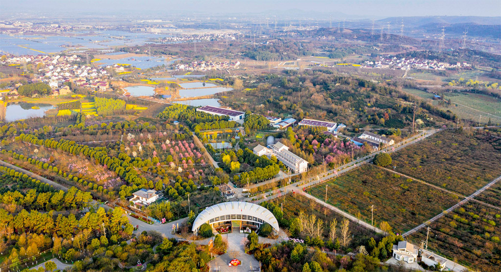 生態農業旅遊的新組團