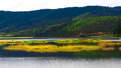 LID技術措施（shī）在森林公園濱水景觀中的運用