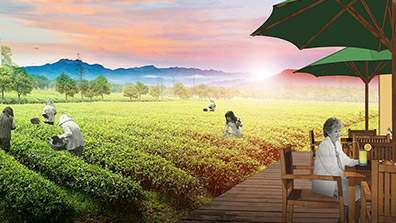 農業觀光園景觀設計的（de）幾點思路（lù）總結