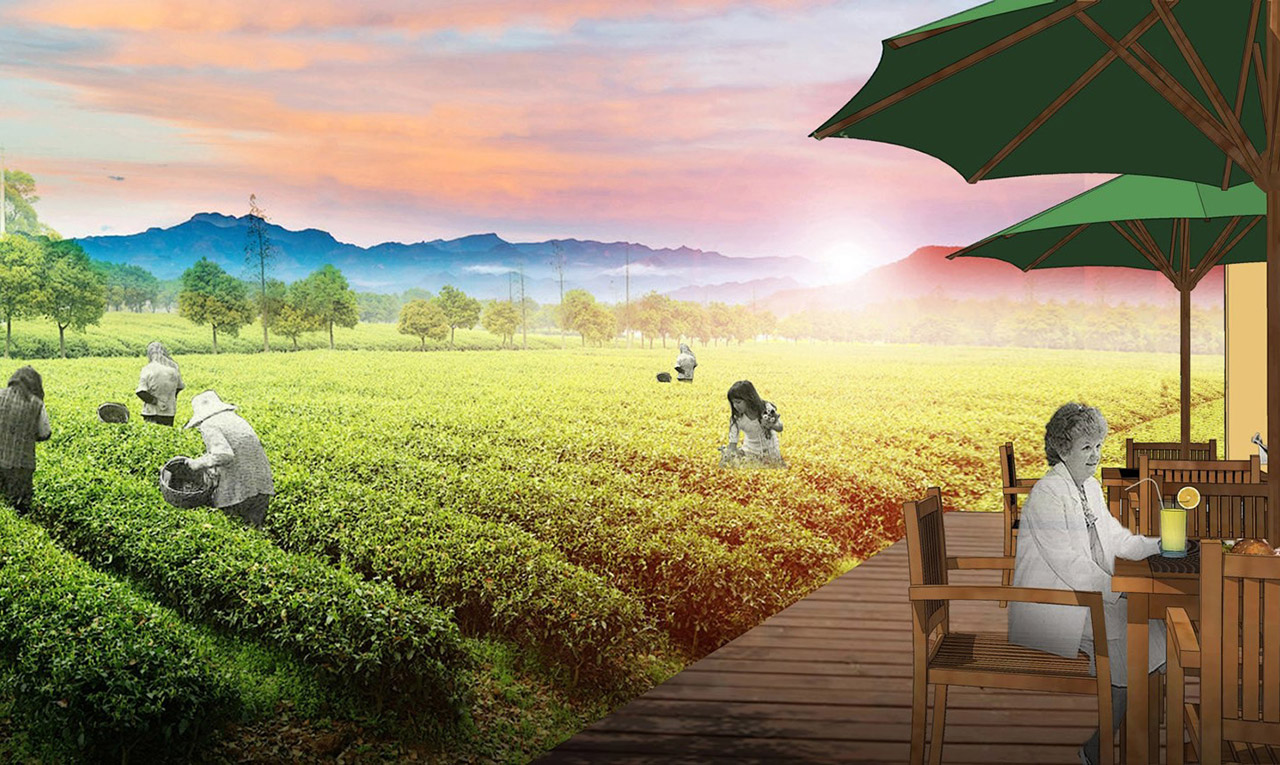 農業觀光園景（jǐng）觀設（shè）計之（zhī）采摘園（yuán）