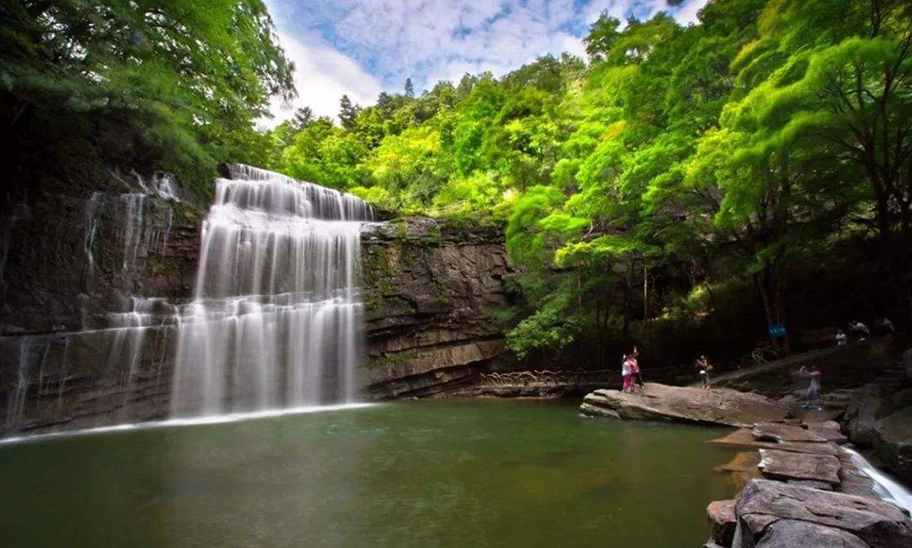 森林（lín）公（gōng）園景觀開發設計