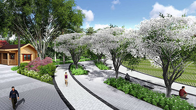 公共綠地綠化植物（wù）的設計要點