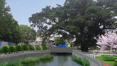 在美麗（lì）鄉村景觀設計的過（guò）程中保護（hù）古樹的（de）幾點原則（zé）