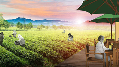 生態農業（yè）觀光園的循環經濟技術應用方法