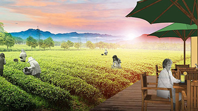 農業景區實現景觀規劃的要點內容以及基本要求（qiú）