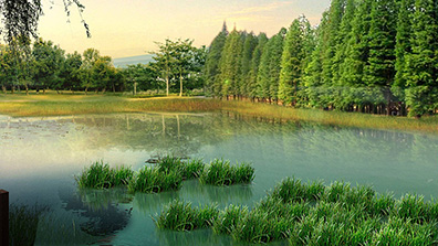 海綿城市理論在風景園林規劃中有哪些具體運用呢