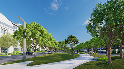 園（yuán）林設（shè）計的過程（chéng）中植物配（pèi）置應注意的問題