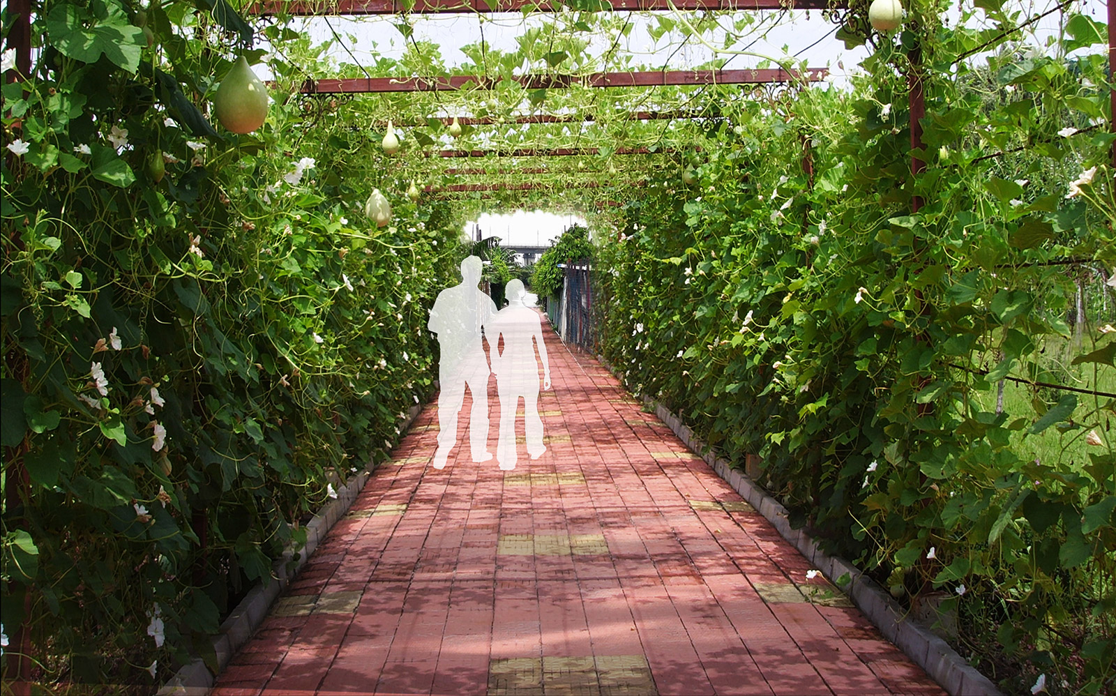 裕農（nóng）生態園提升效果（guǒ）圖