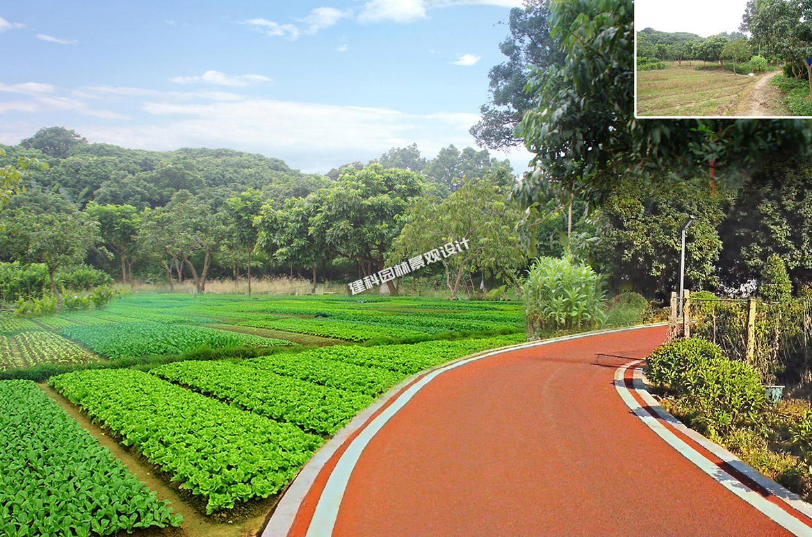 美麗圩鎮（zhèn）8