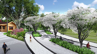 城（chéng）市公園綠化植物配置策略