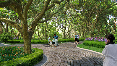 園林（lín）景觀設計中（zhōng）植物造（zào）景要點